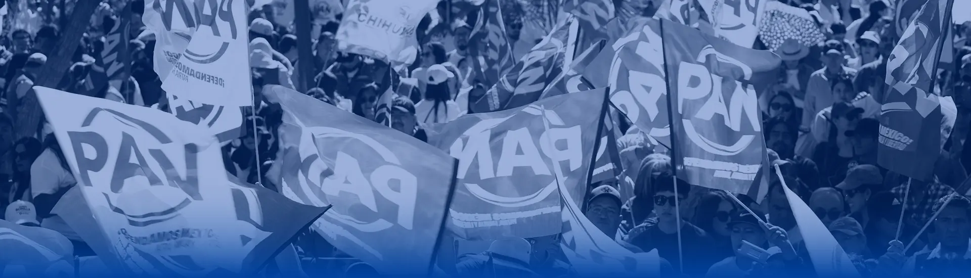 banners-comisiones_provisional_1920x550_px_9uGm0pD.webp